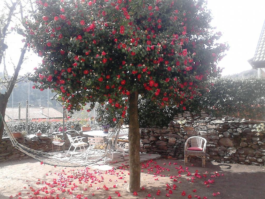 B&B Il Castello Lago Maggiore Con Terrazza Cossogno Εξωτερικό φωτογραφία