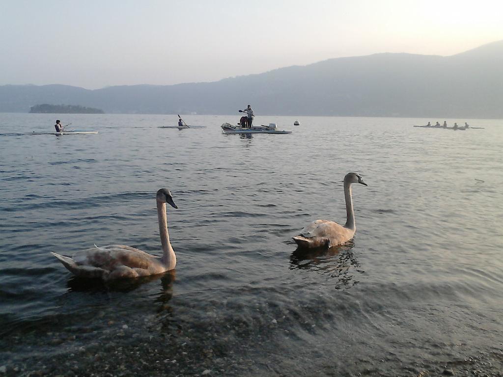 B&B Il Castello Lago Maggiore Con Terrazza Cossogno Εξωτερικό φωτογραφία